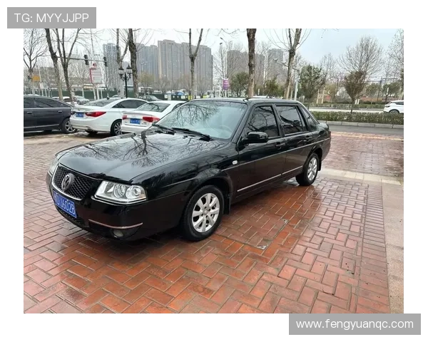 10年志俊手动精品